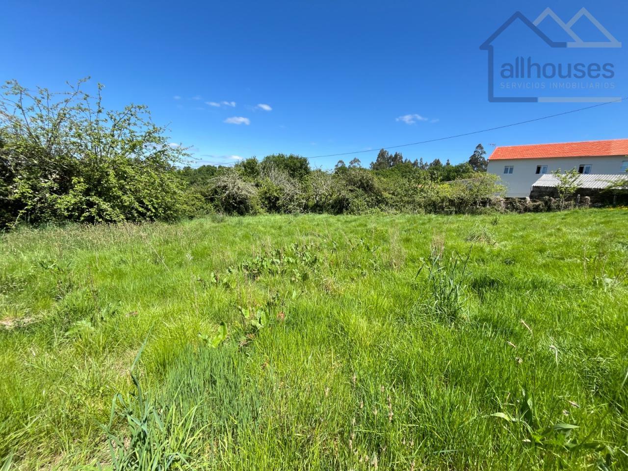 FINCA 1600M2