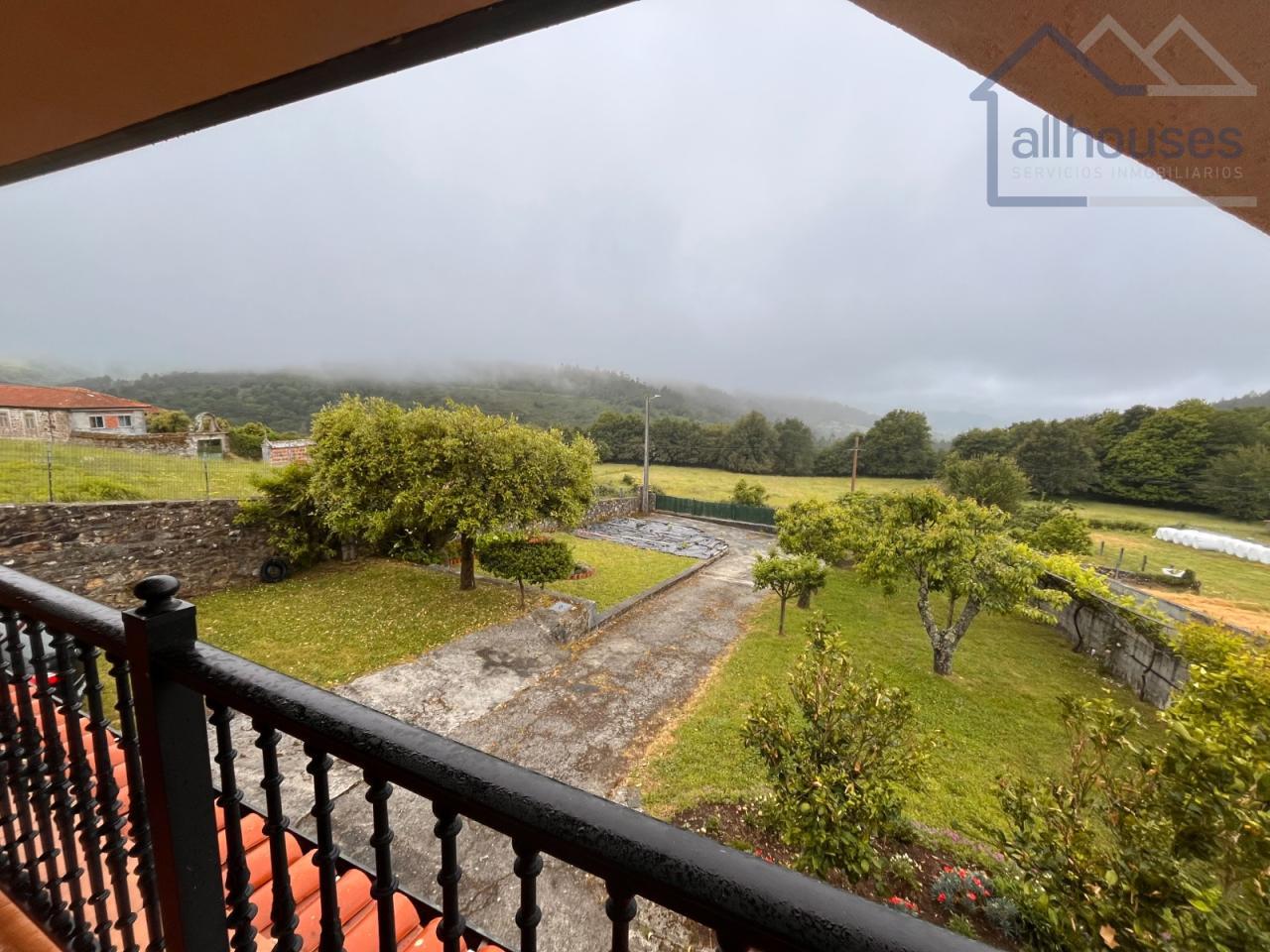 Finca