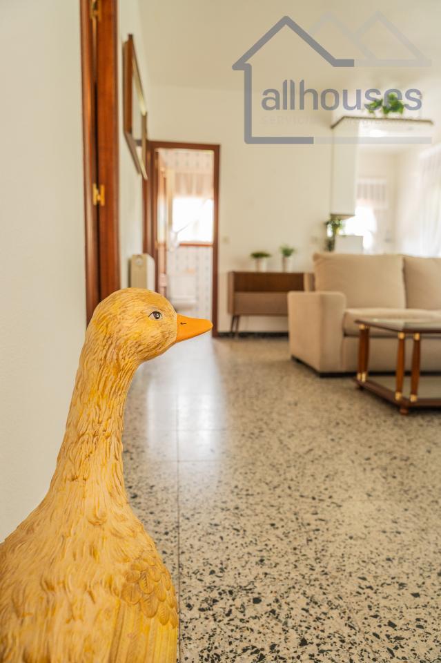 Apartamento 2
