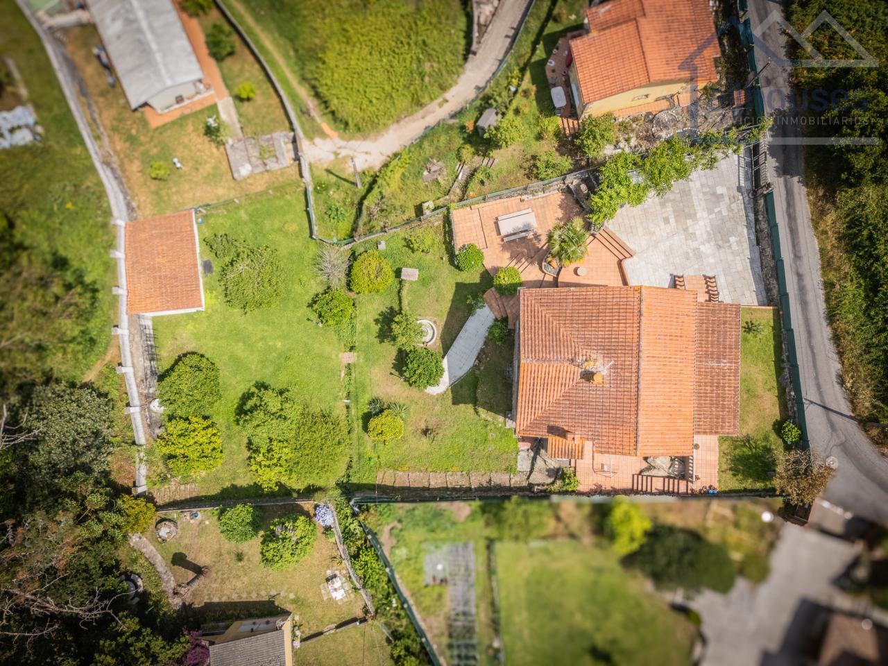 Perspectiva cenital
